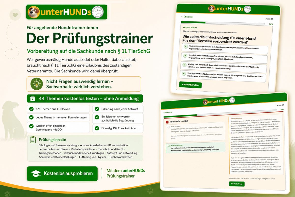 Angehende Hundetrainerin bereitet sich am Schreibtisch mit dem unterHUNDs Prüfungstrainer auf die Sachkundeprüfung nach § 11 TierSchG vor. Auf dem Bildschirm stehen die Themenblöcke der Prüfungsvorbereitung, daneben ein handschriftlicher Lernplan; im Hintergrund ruht ein Golden Retriever.
