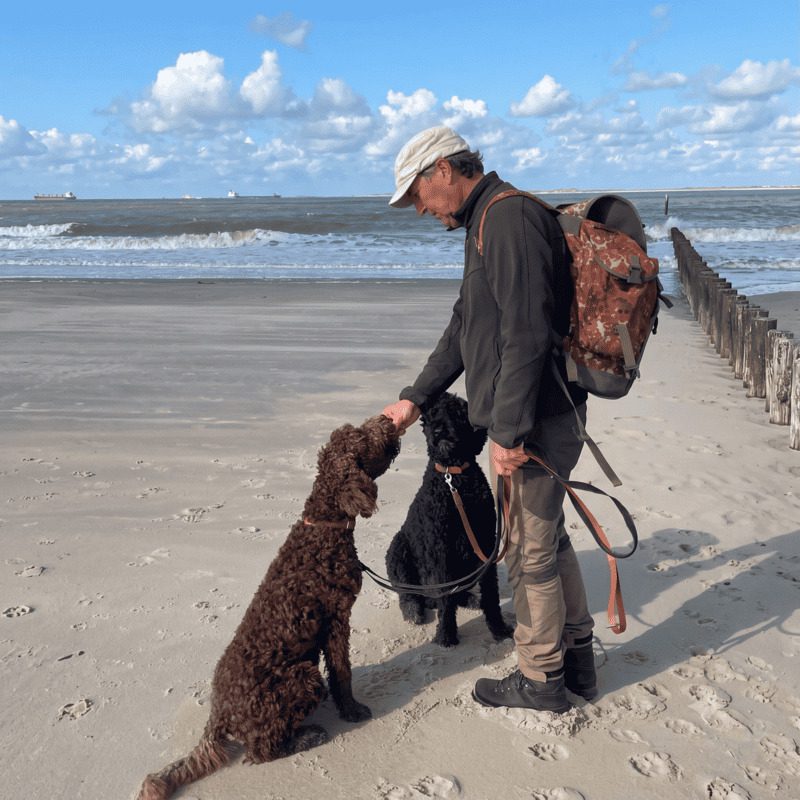 Michael Sauerwein, Gründer und fachlicher Leiter der Hundeschule unterHUNDs, mit Hund am Strand