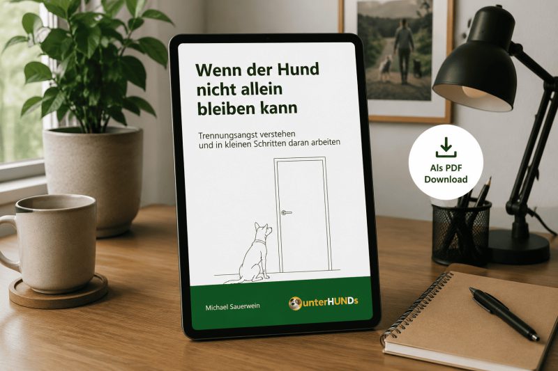 Titelseite des Arbeitshefts Wenn der Hund nicht allein bleiben kann