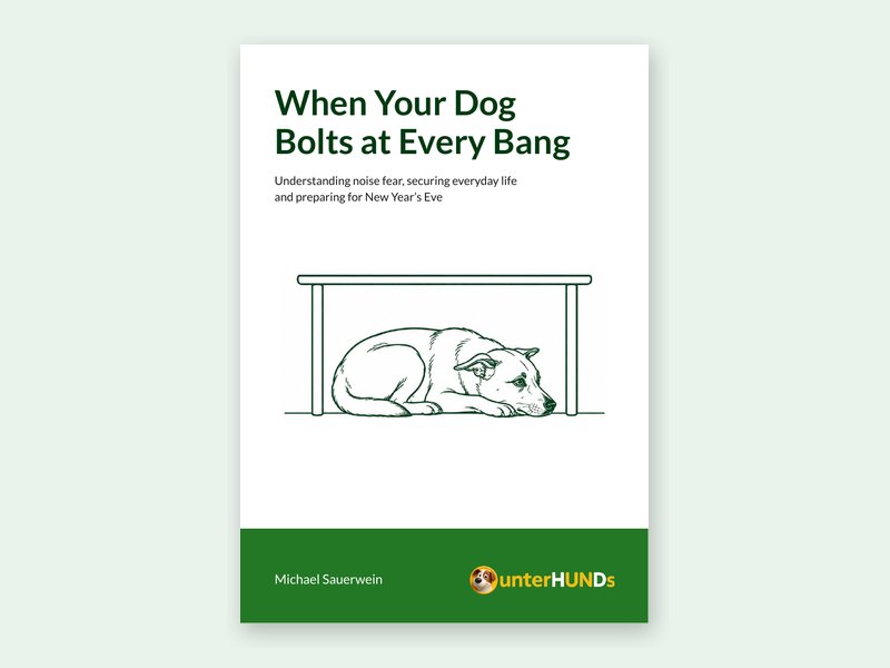 Cover of the workbook When Your Dog Bolts at Every Bang