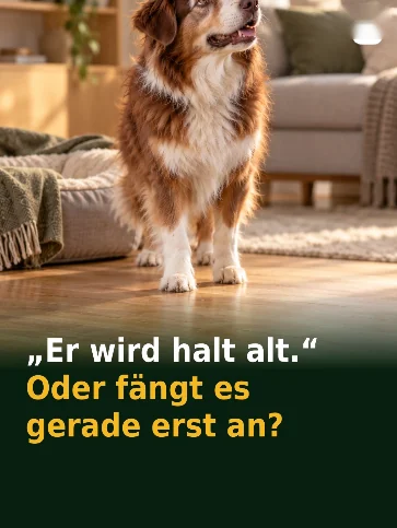 „Er wird halt alt." Oder fängt es gerade erst an?