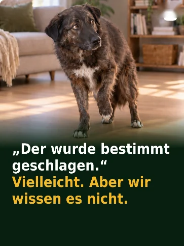 „Der wurde bestimmt geschlagen." Vielleicht. Aber wir wissen es nicht.