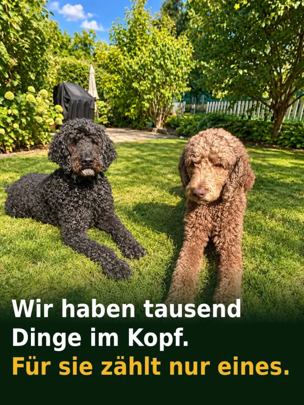 Wir haben tausend Dinge im Kopf. Für sie zählt nur eines.